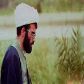 شهید-میثمی03