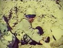 آینده بشریت