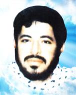 سید محمدحسین علم‌الهدی