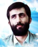 محمدتقی رضوی