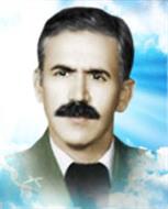 حسن آبشناسان