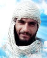 سید حمید میرافضلی