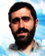 رضا شکری پور