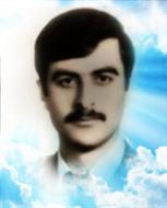 فیروز شیخ‌حسنی